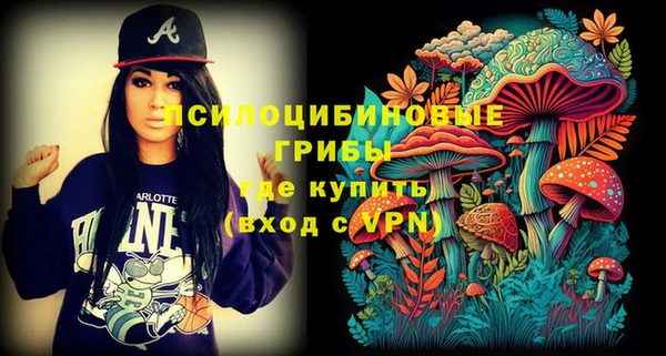марки lsd Горнозаводск