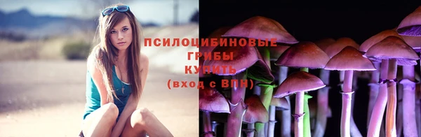марки lsd Горнозаводск