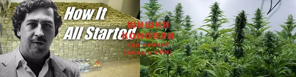 прущая мука Горняк