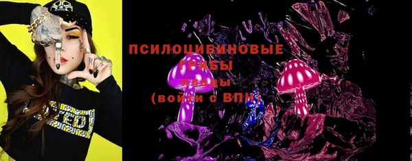 прущая мука Горняк