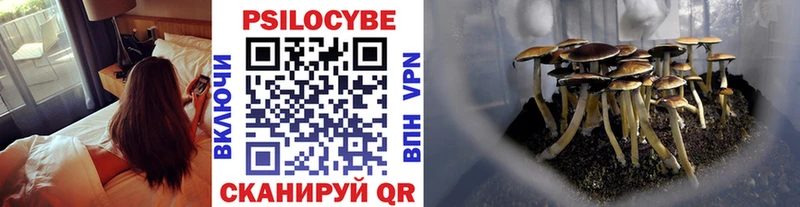 Галлюциногенные грибы Cubensis  купить наркотик  Москва 
